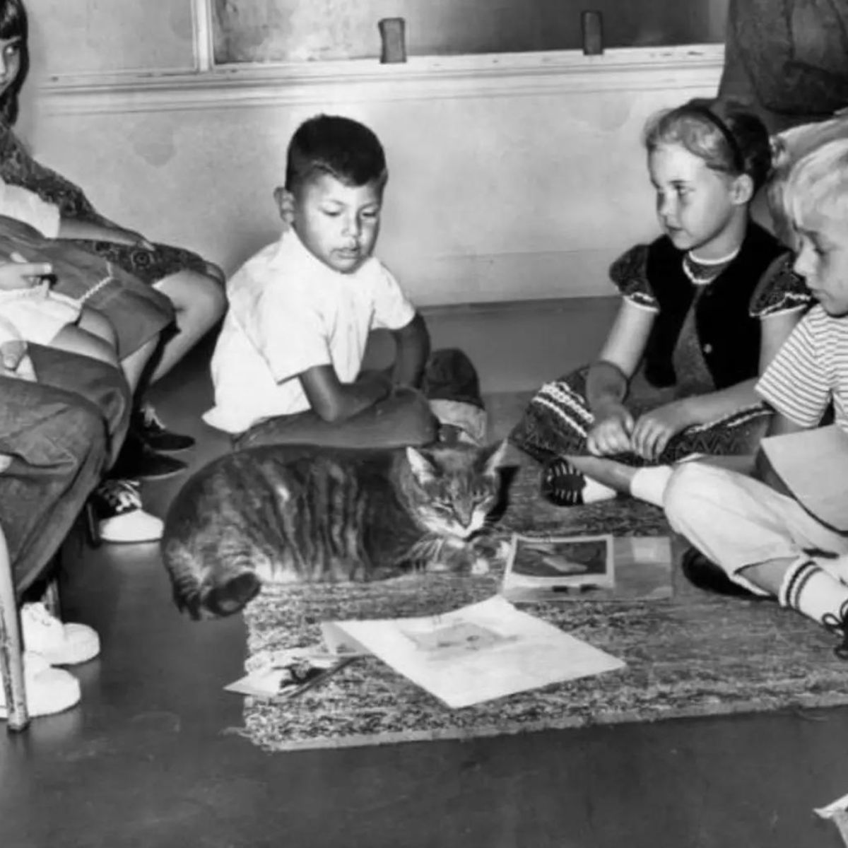 remembering a deceased cat