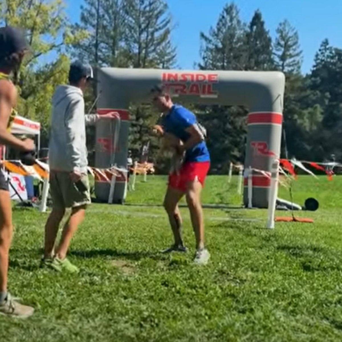 rescue dog playing with people in games