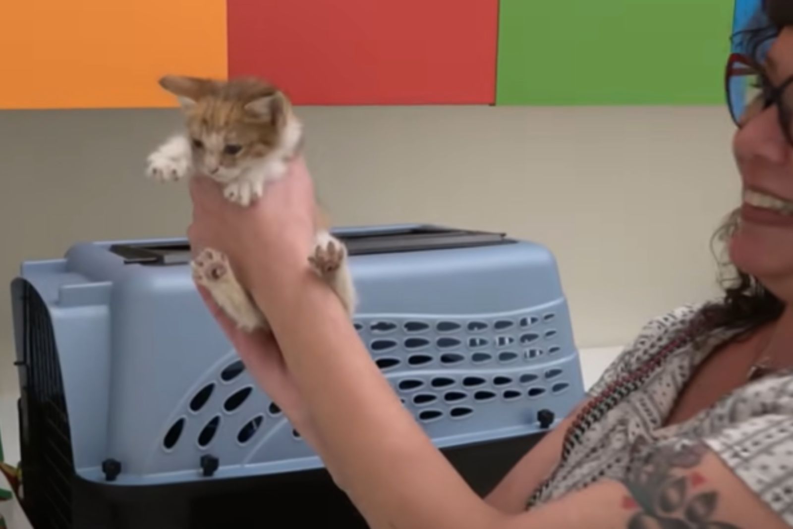 rescuing little kittens