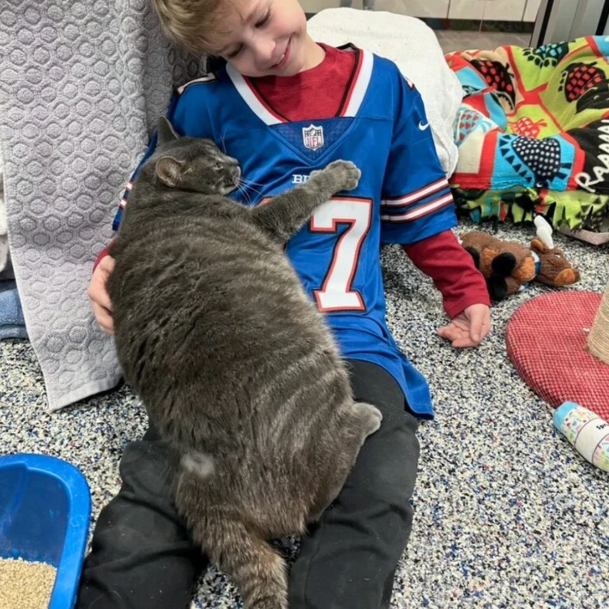 senior cat hugs boy
