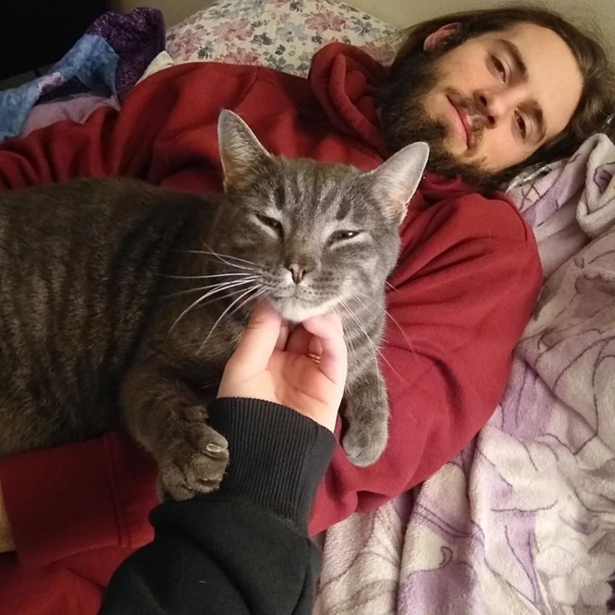 senior cat hugs man