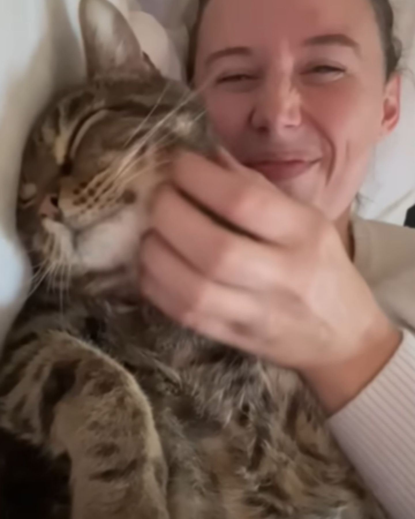 senior tabby cat enjoys cuddling