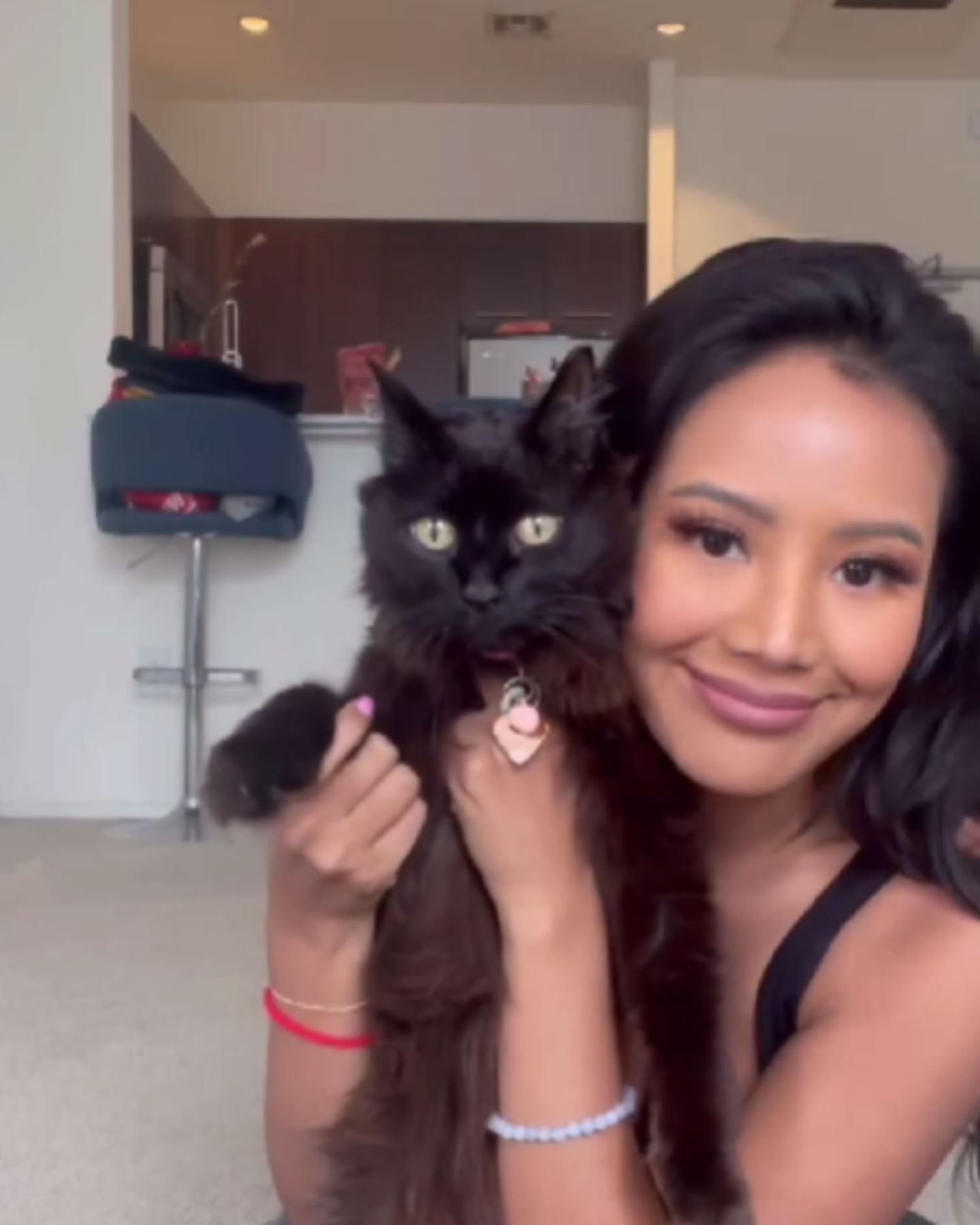 shaggy black cat and woman