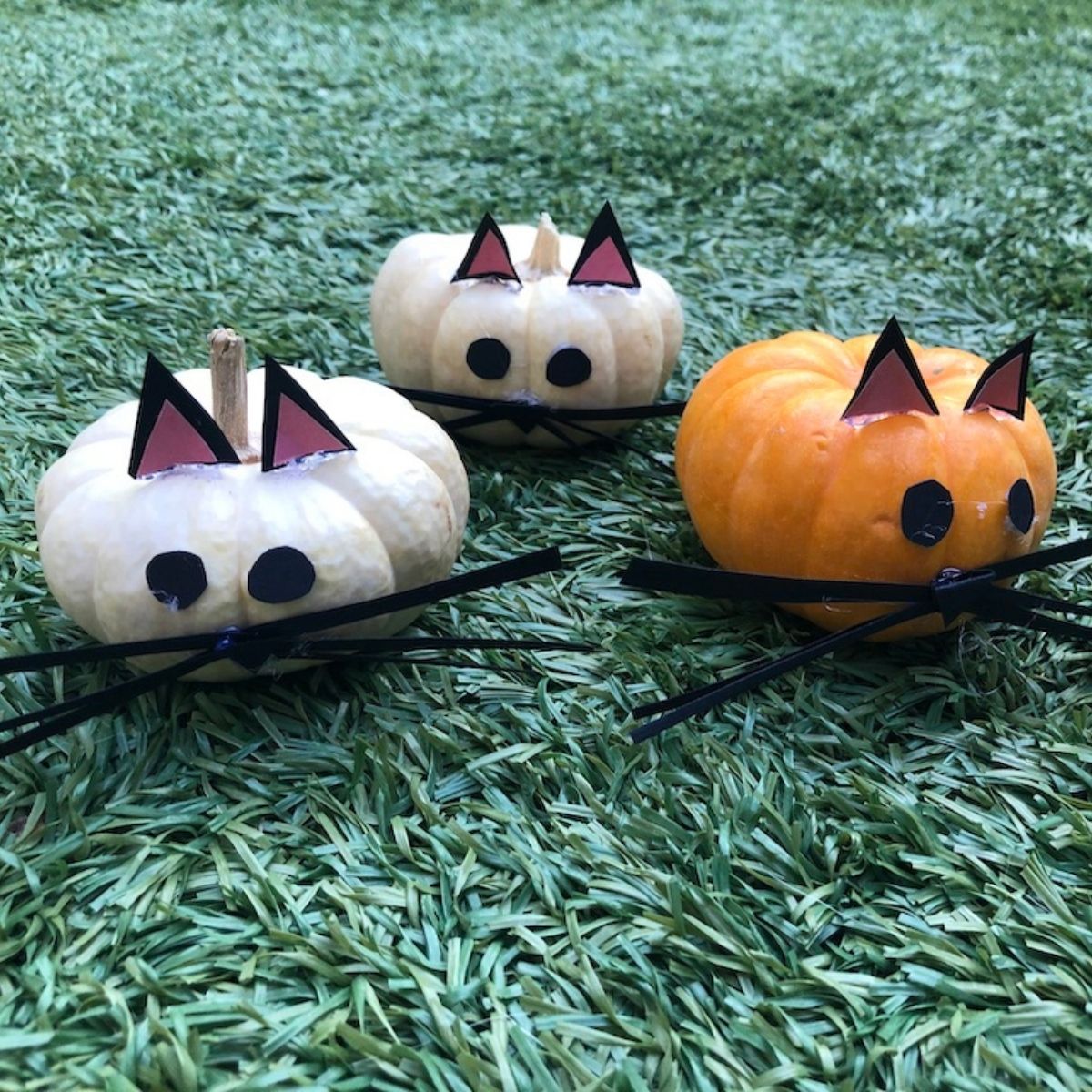 three small pumpkins
