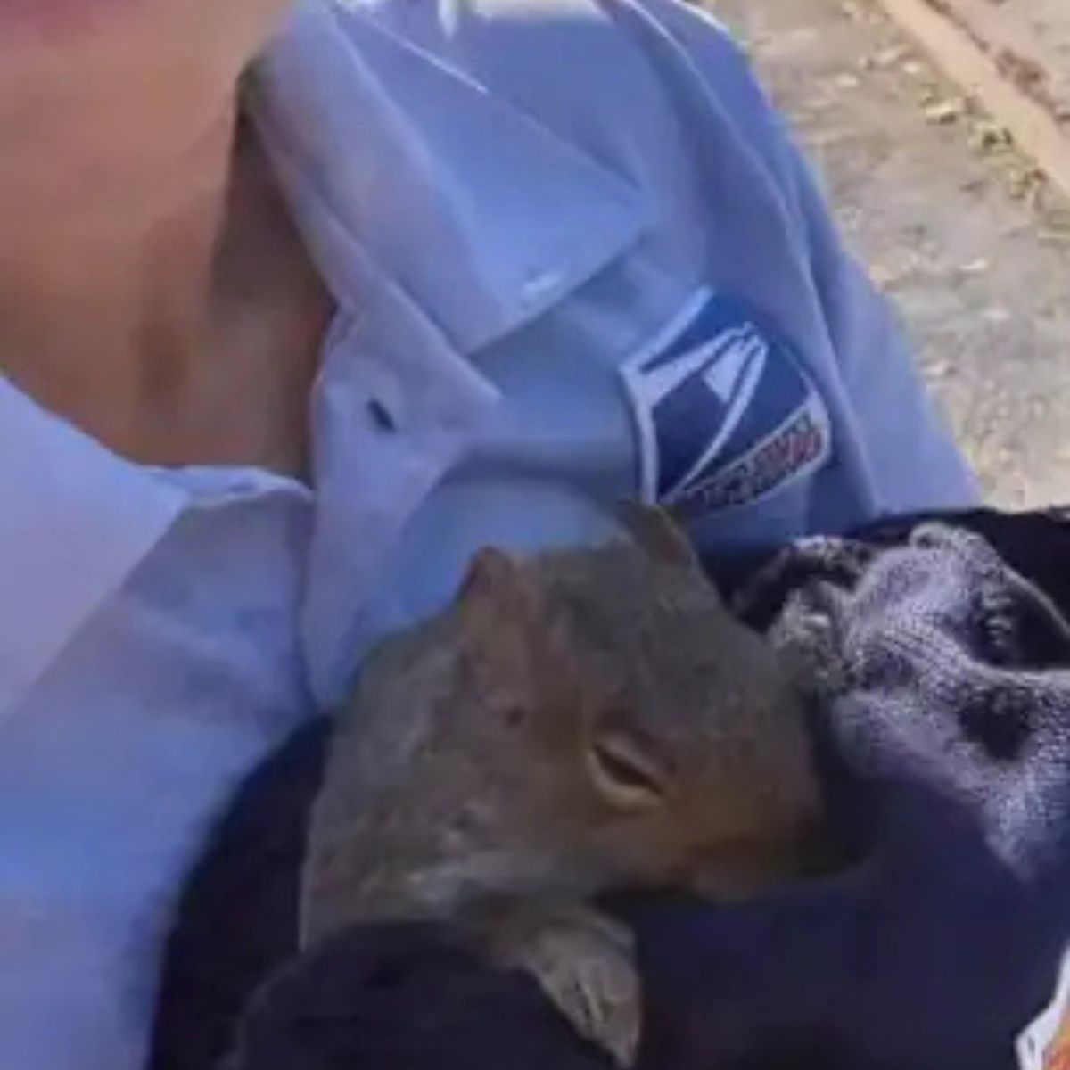 tiny squirrel at the woman's