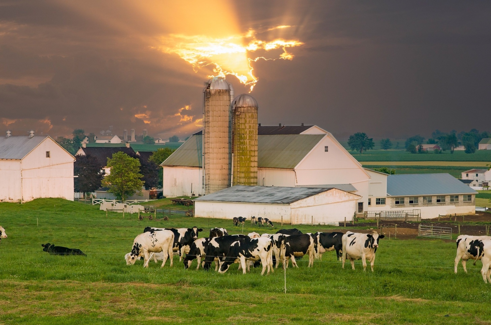 us farm