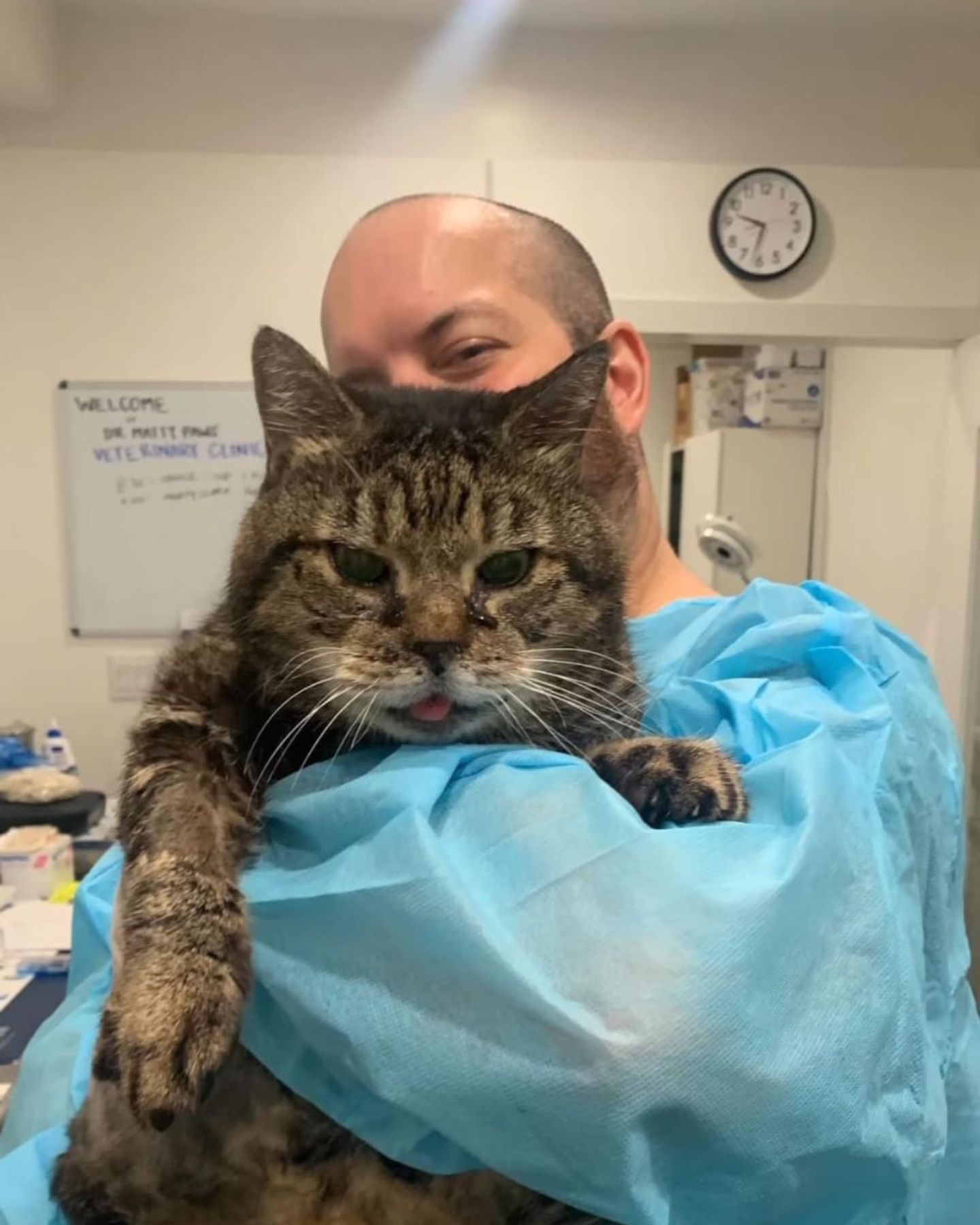 veterinarian holding sick cat
