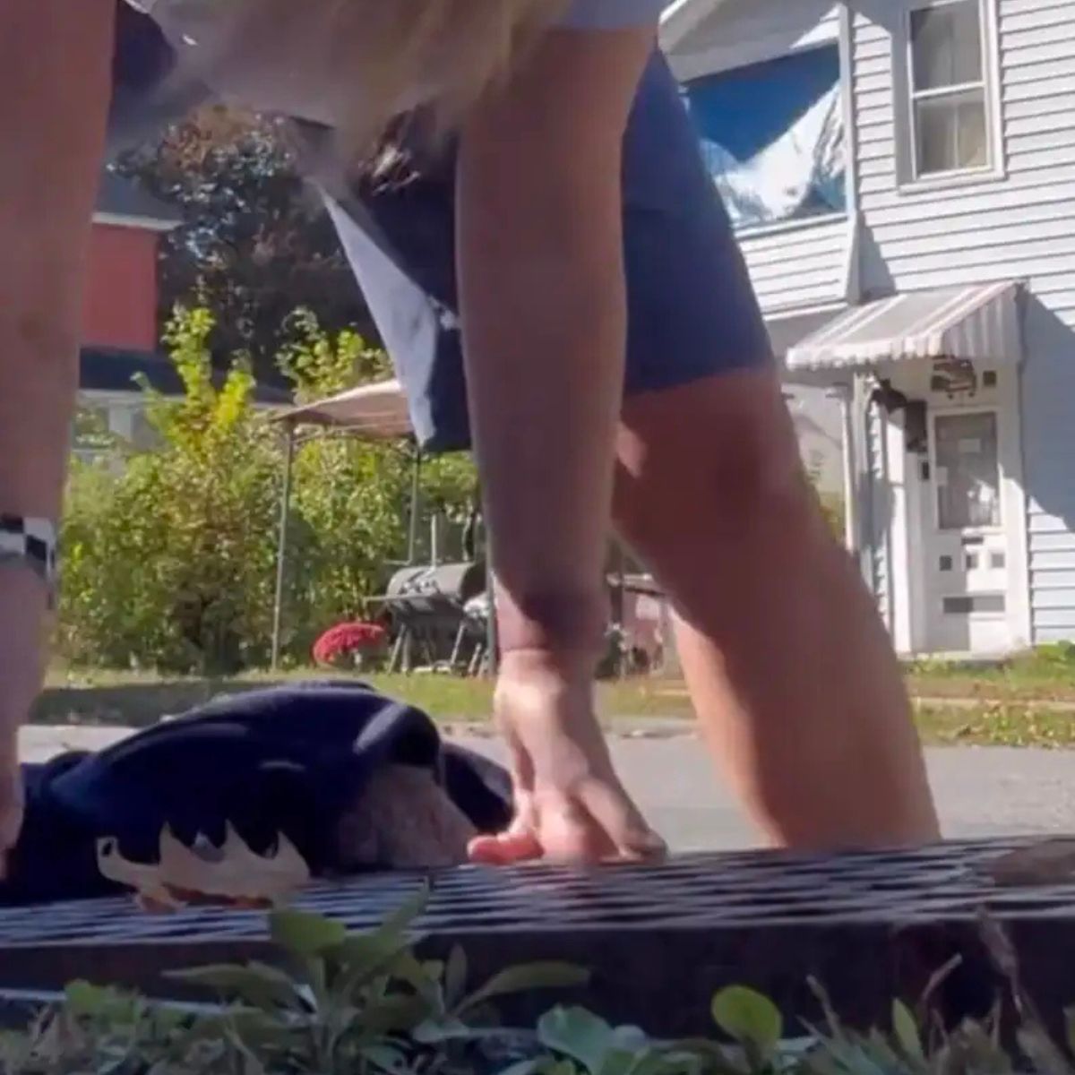 woman carrier tiny squirrel