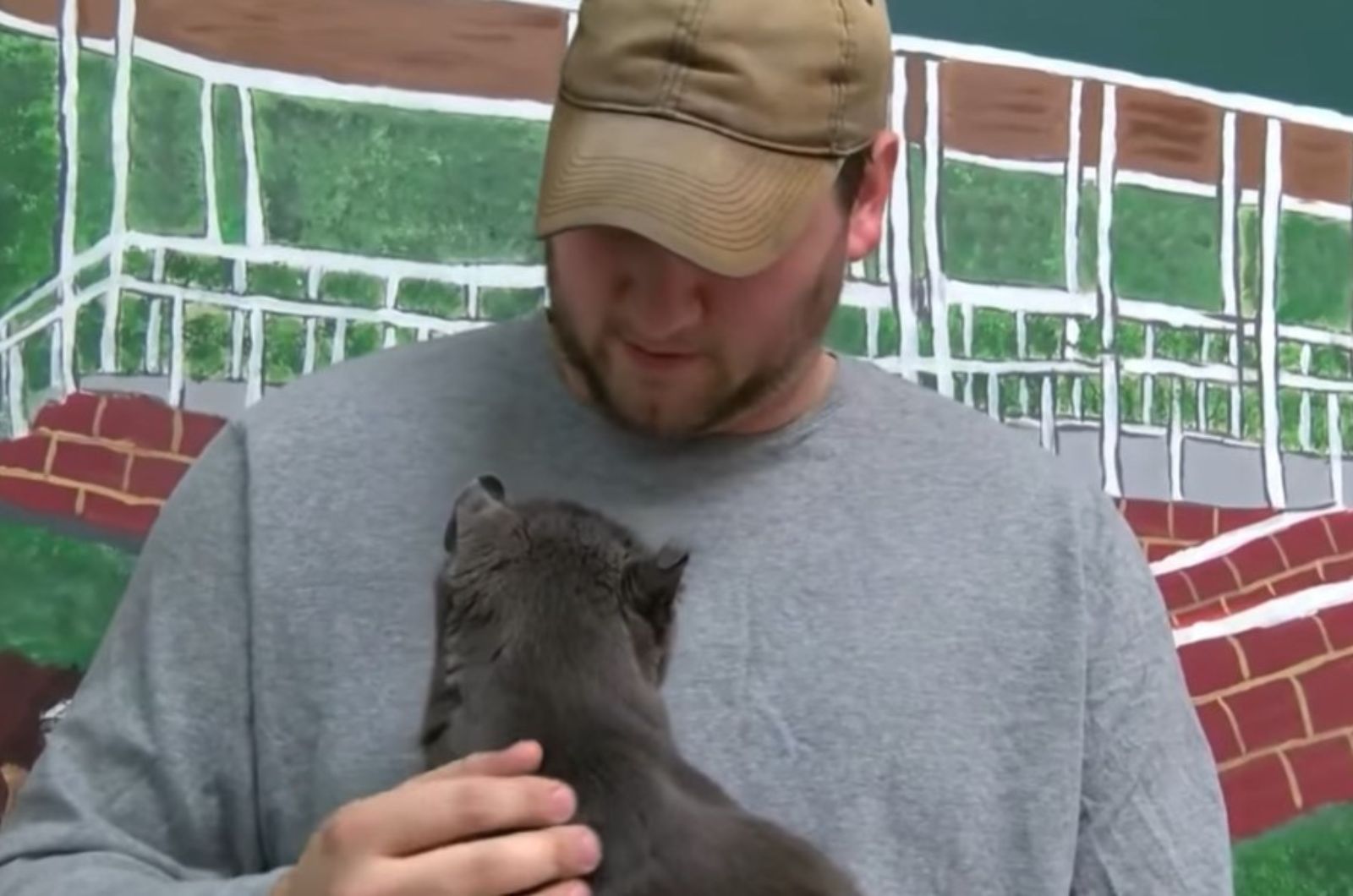 woman gives gray cat to man
