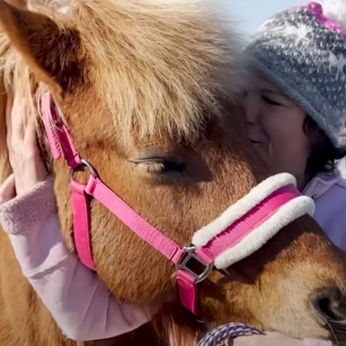 woman hugs a horse