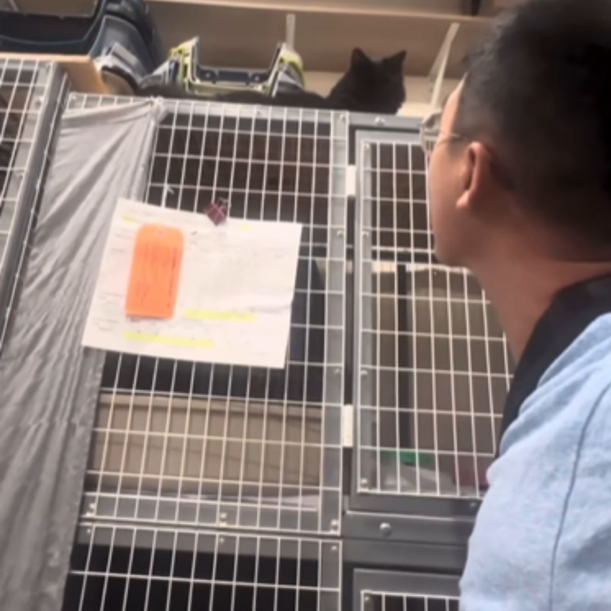 woman is looking at the one eyed cat