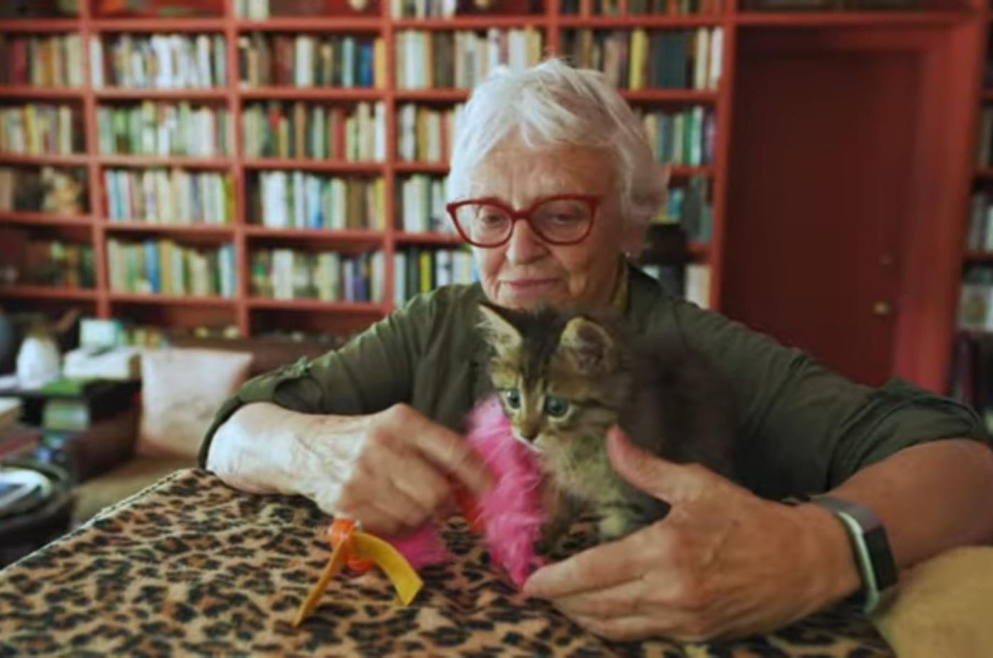 woman is playing with a kitten and a toy