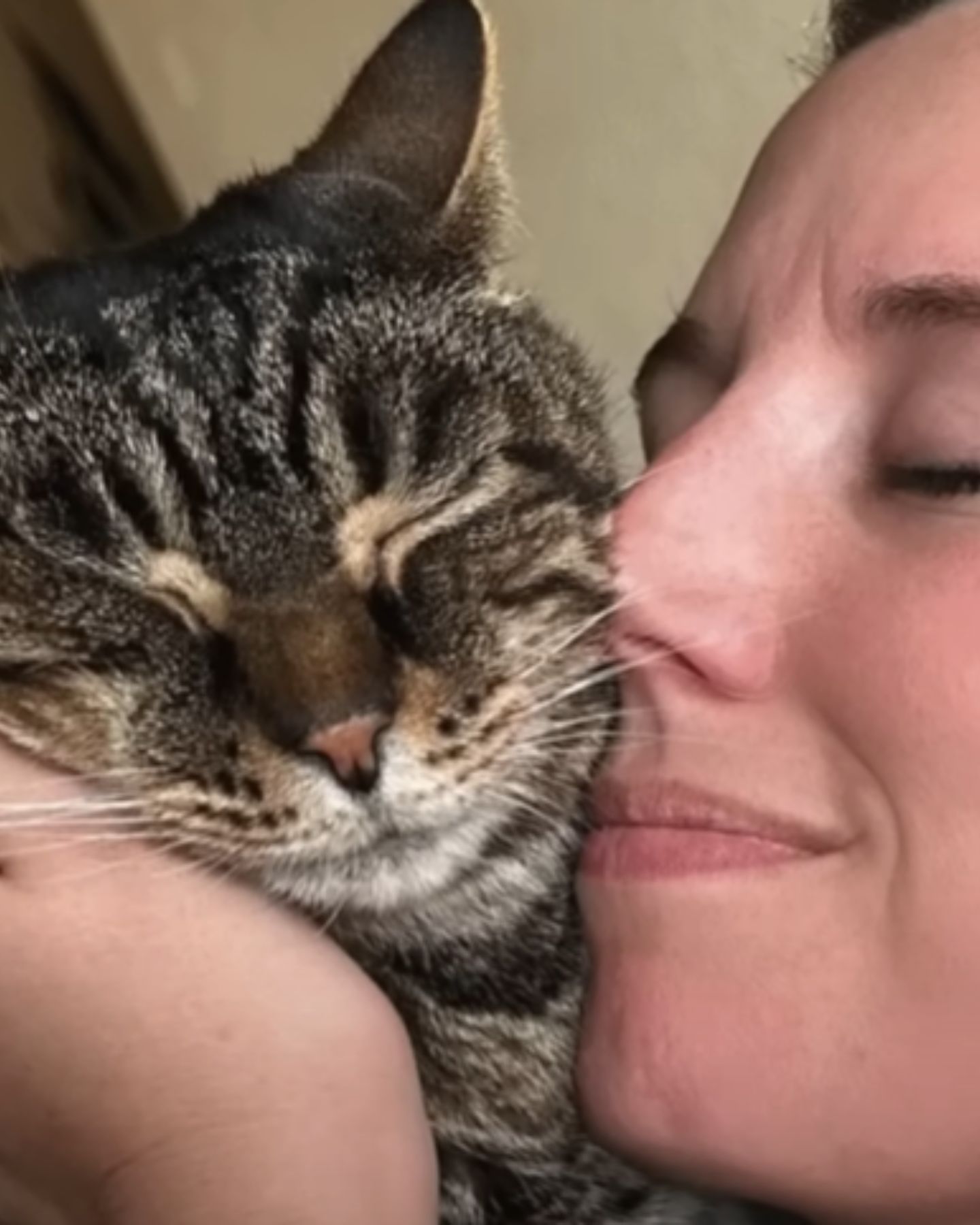 woman kisses a senior tabby cat