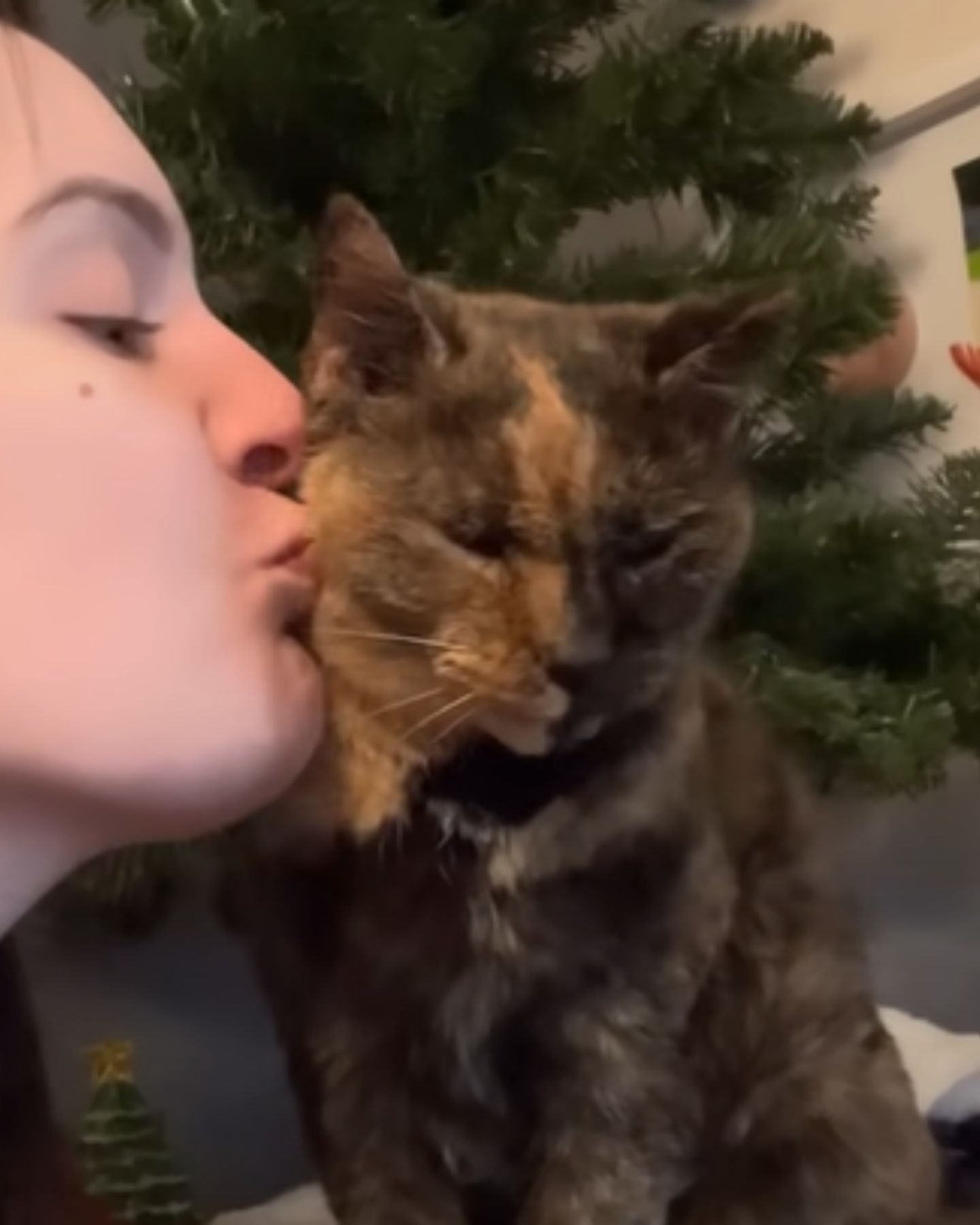 woman kissing dark cat