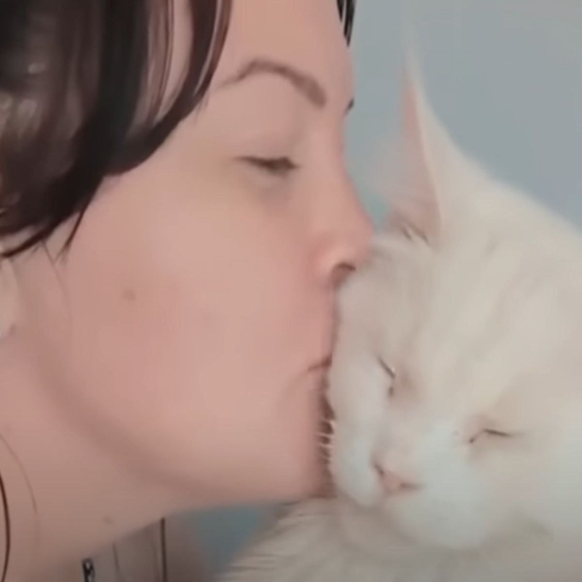 woman kissing white senior cat