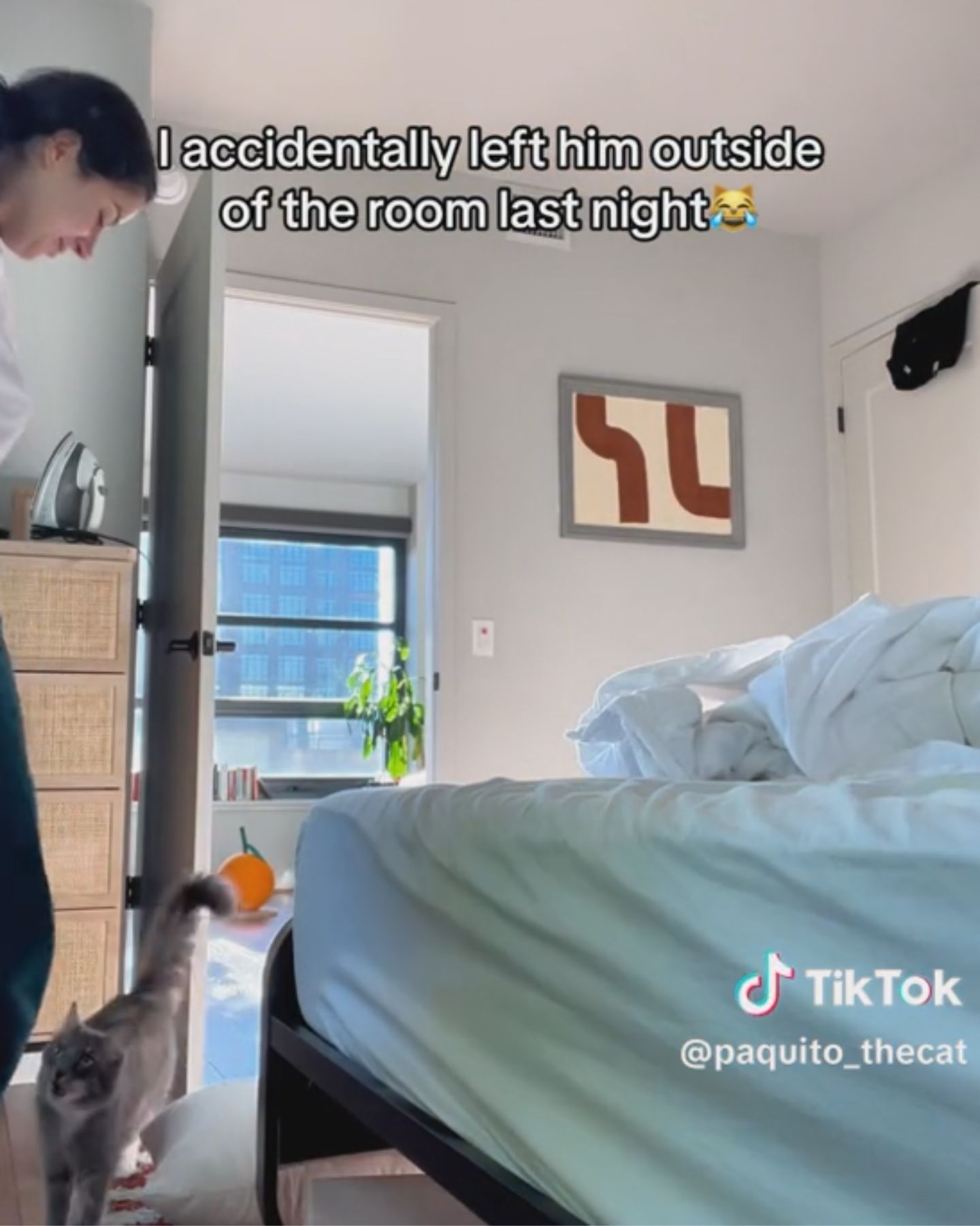 woman opened door to cat