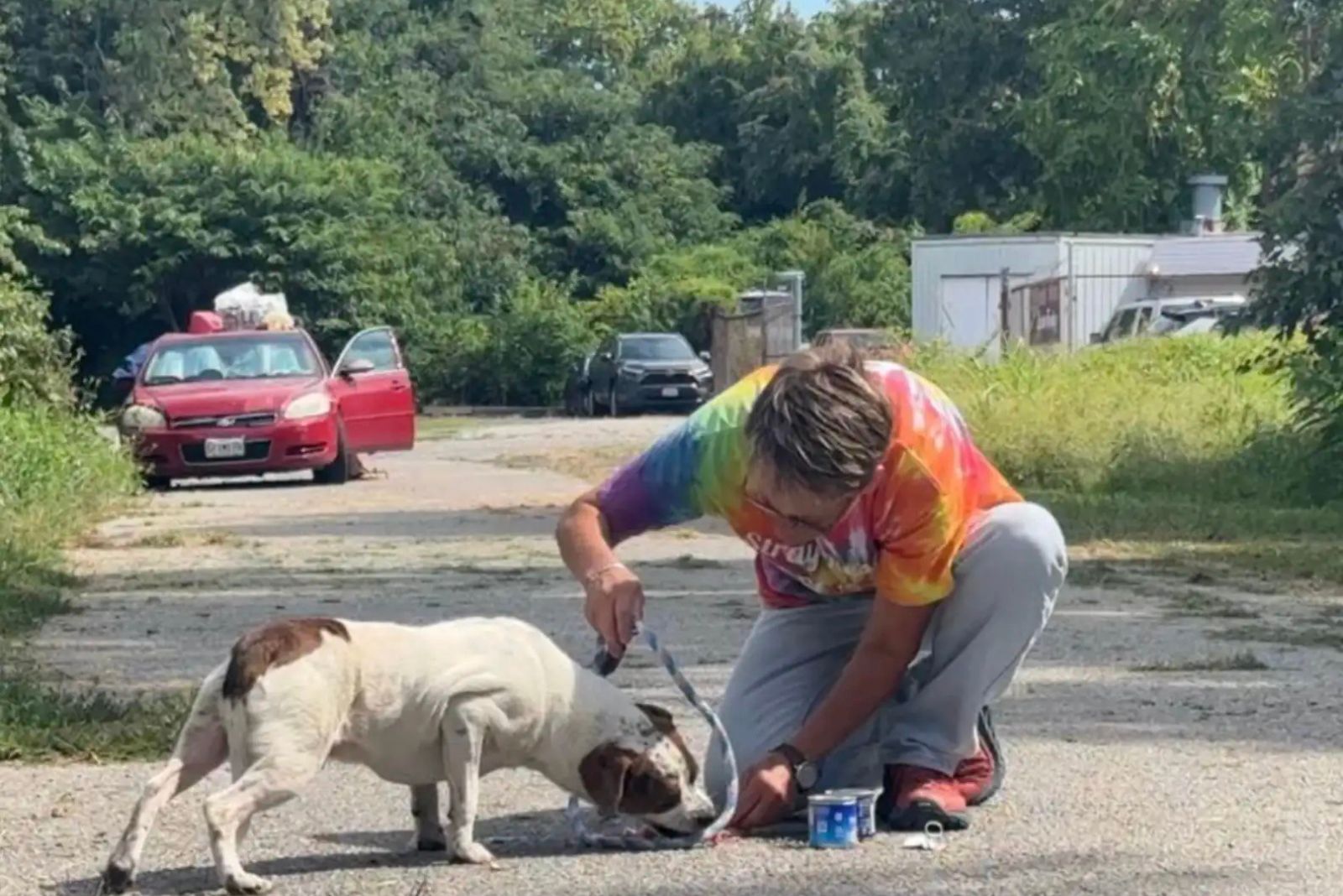 woman putting a leash on a dog in the street