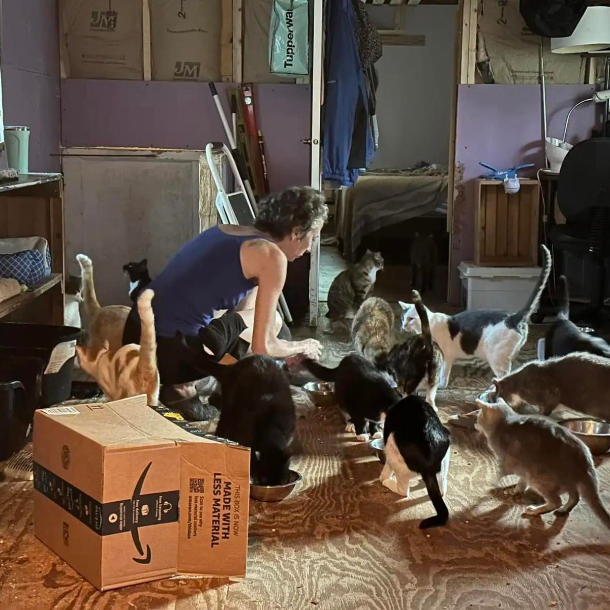 woman with lots of cats around her