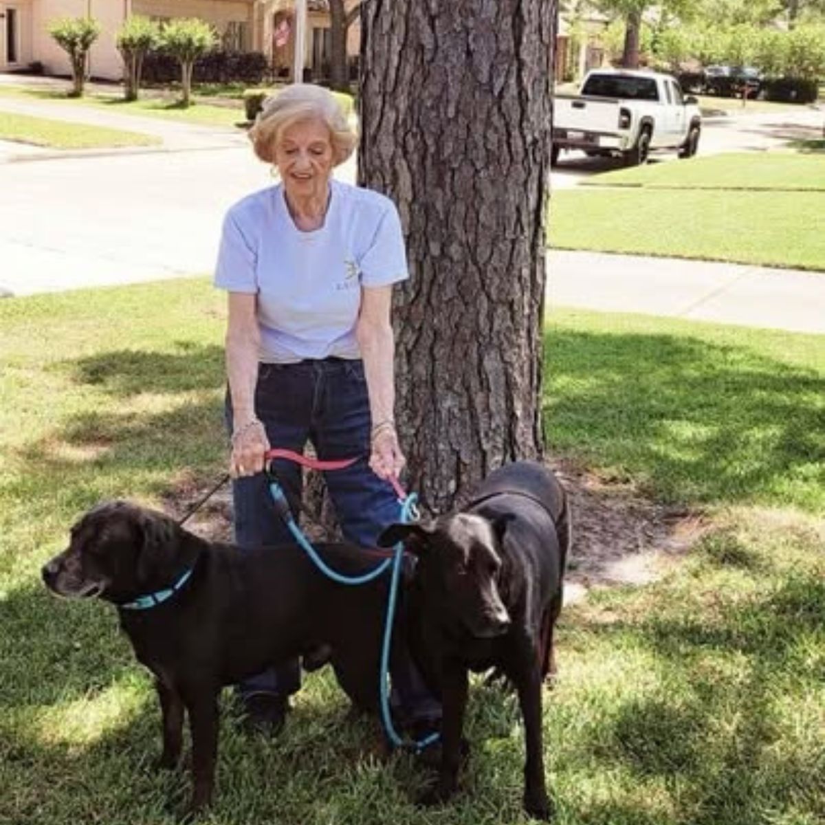 woman with two dogs on leash