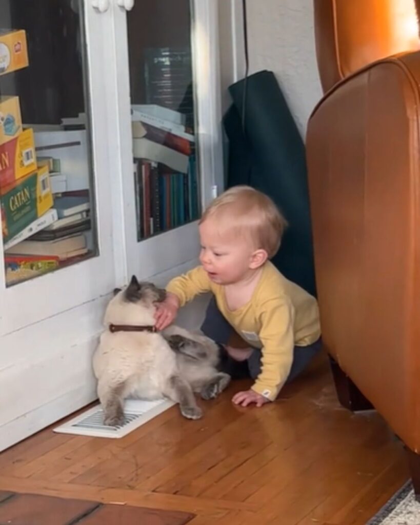 A boy is petting a cat on the floor