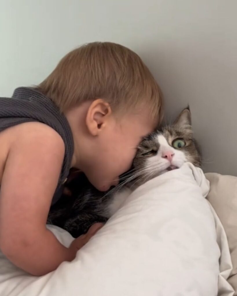 A boy strokes a cat's head