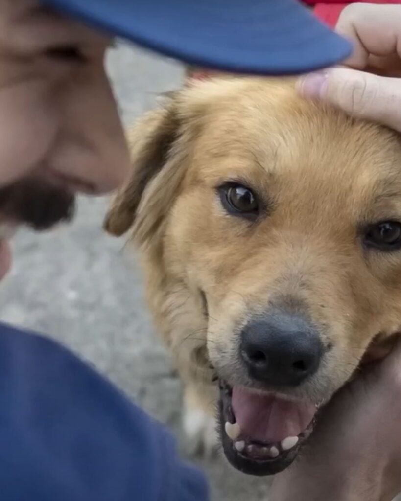 A fat man petting a cheerful dog