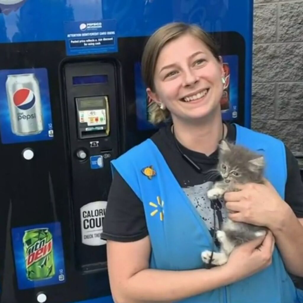 A girl holds a kitten in her hands and stands next to a vending machine