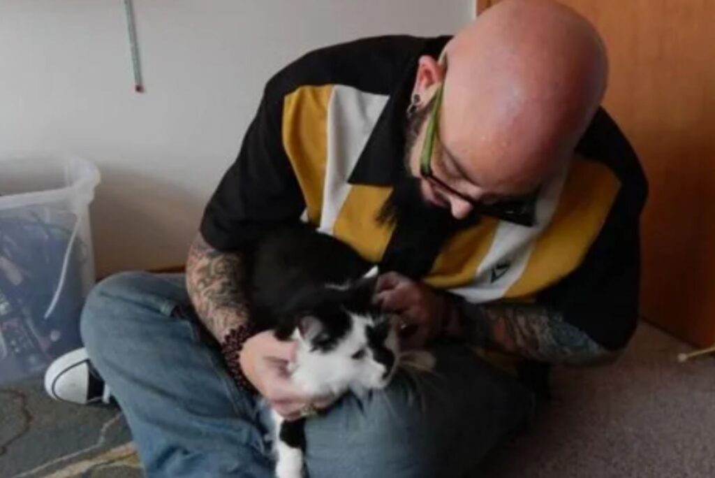 A man caresses a kitten on his lap