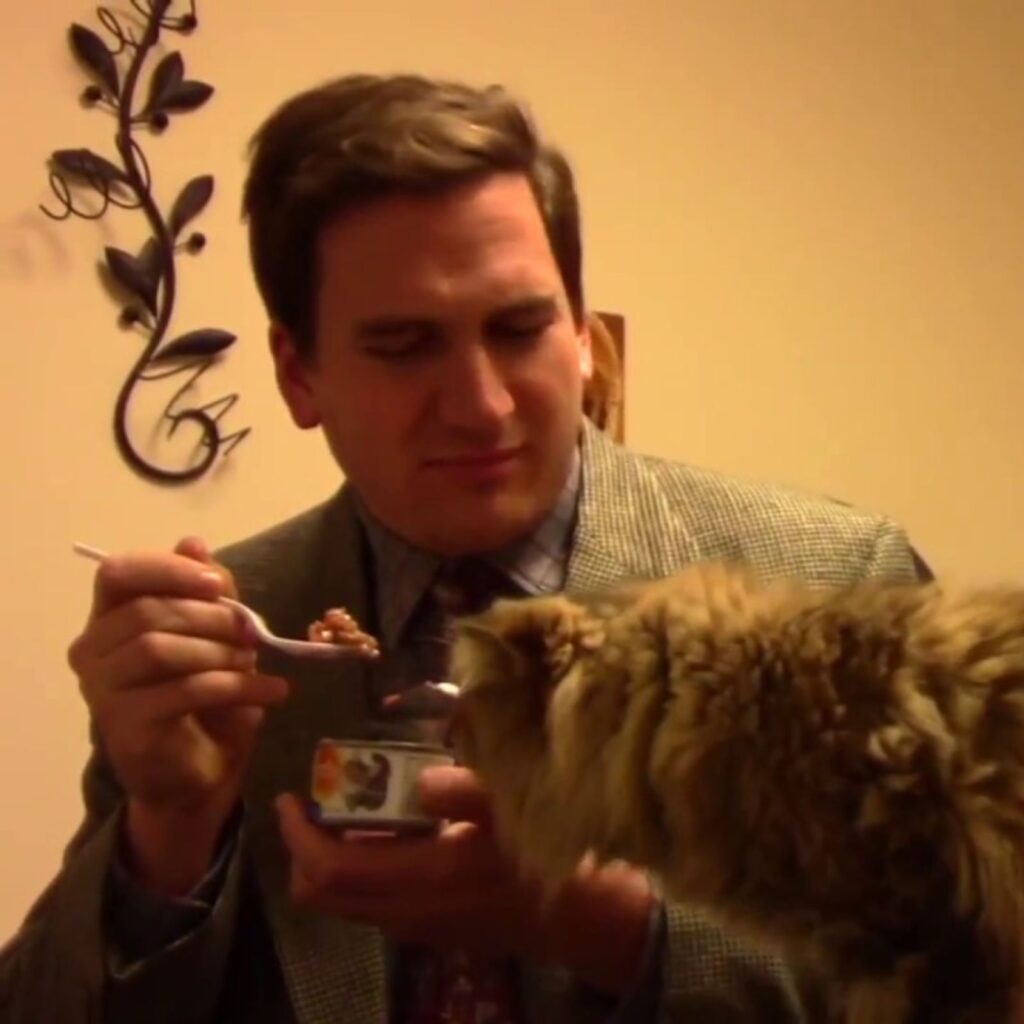 A man feeds a cat from a can
