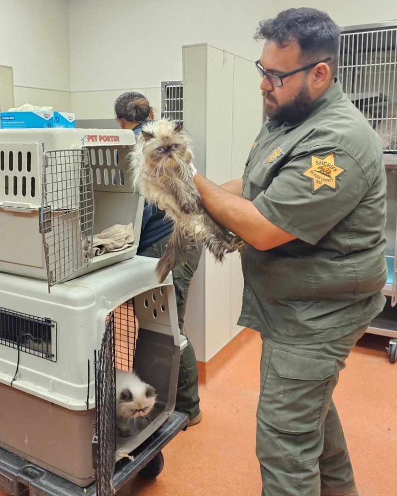 A man holds a cat in his hands next to a cage
