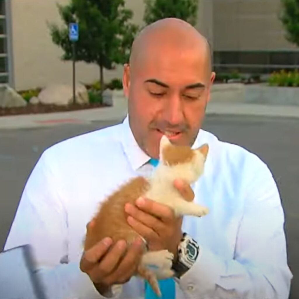 A man holds a small kitten in his hands