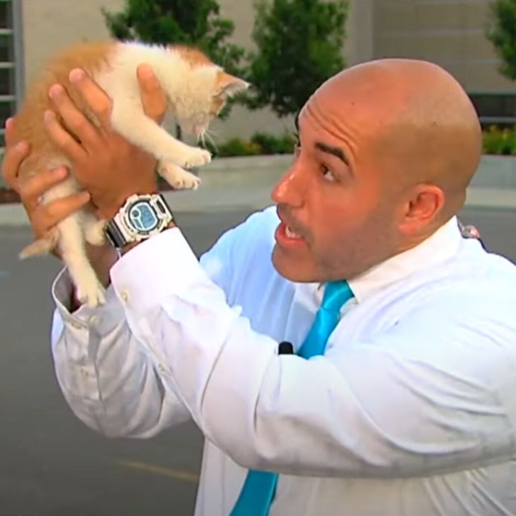 A man holds a small kitten in his hands and looks at it