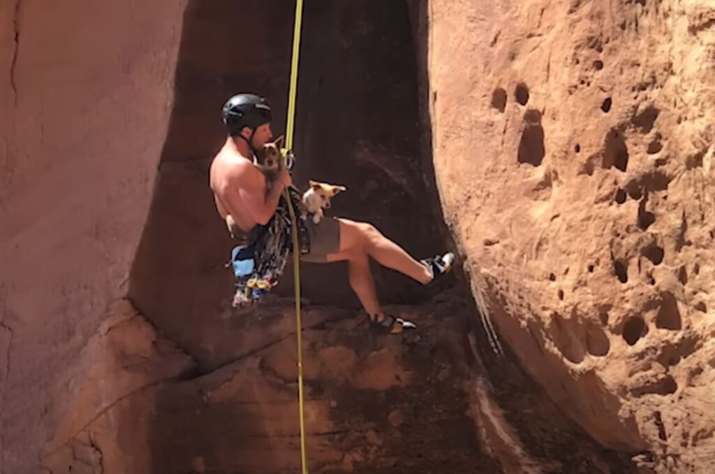 A man is climbing down a cliff with dogs