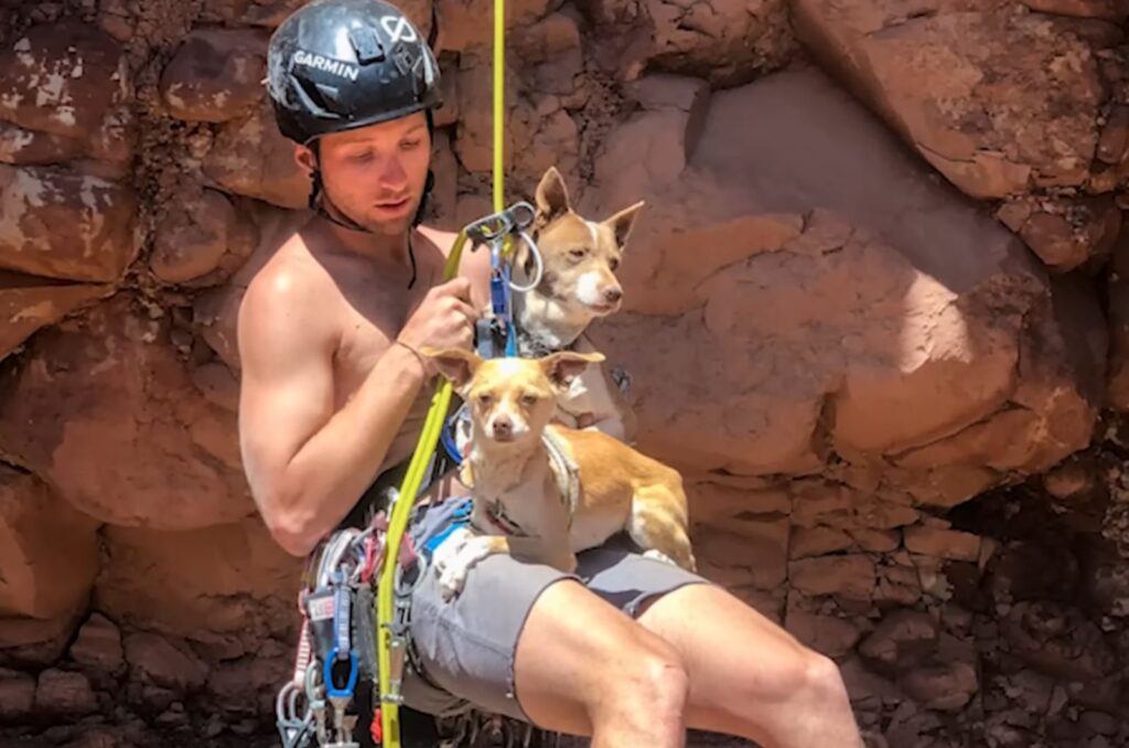 A man is descending a rope with a dog