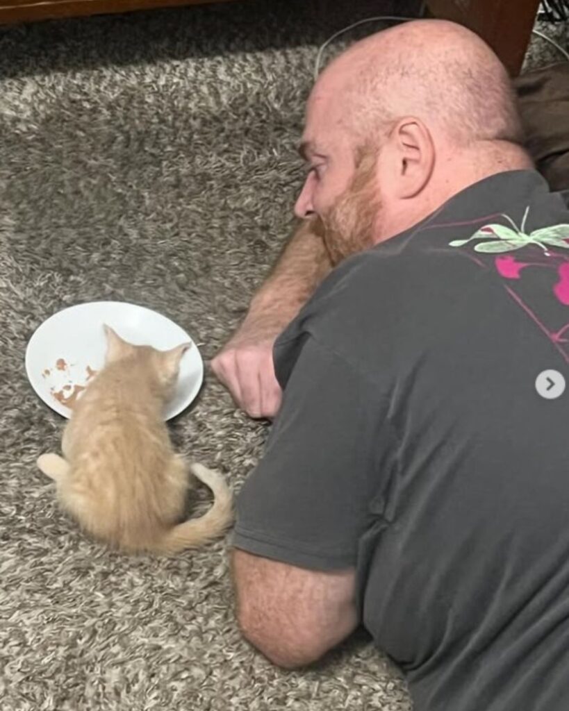 A man watches as a kitten eats
