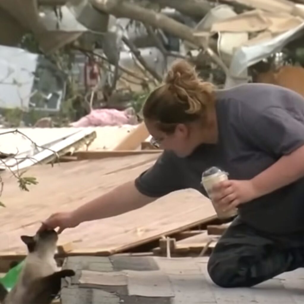 A woman in the ruins petting a cat
