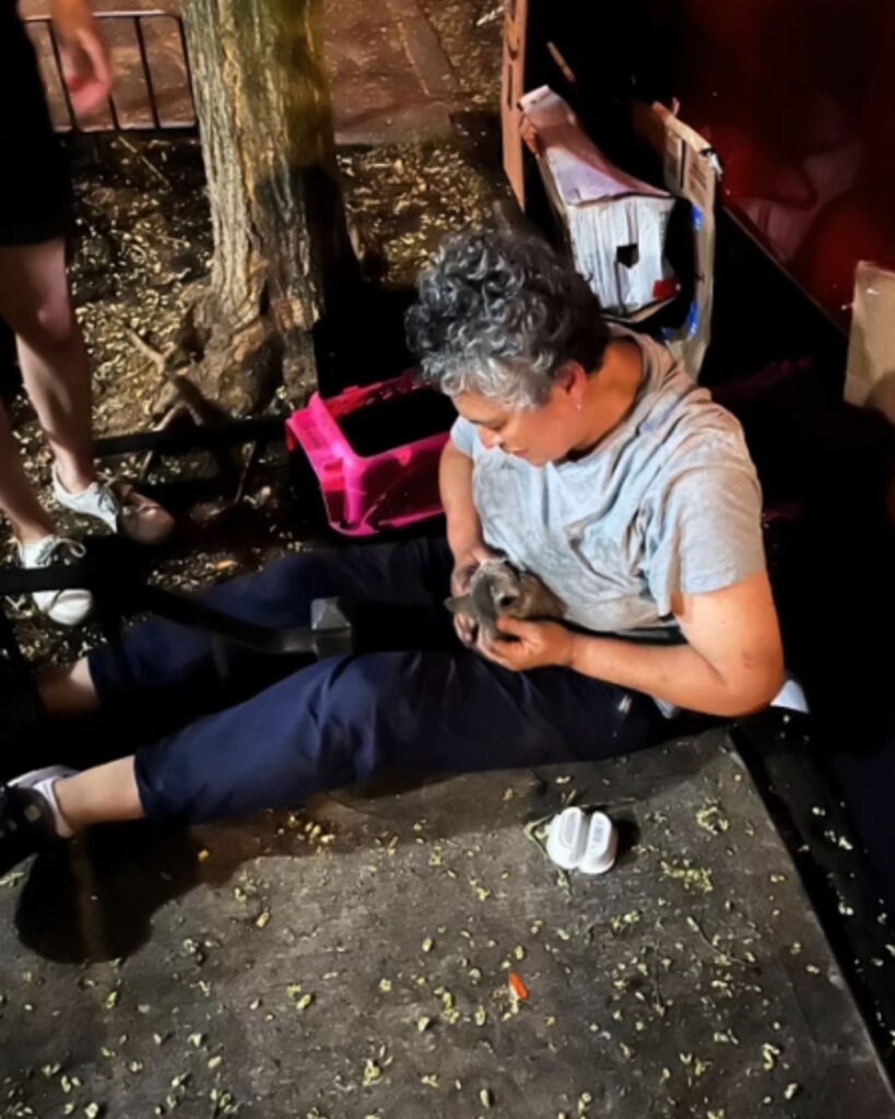 A woman is holding a little rabbit in her hands