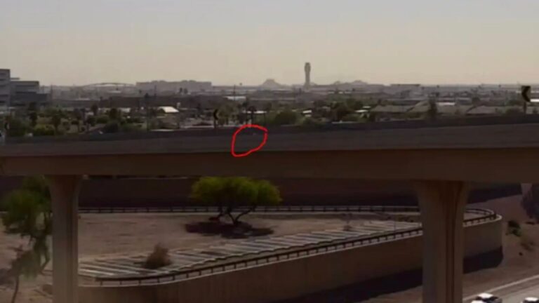 white speck on the side of a freeway ramp