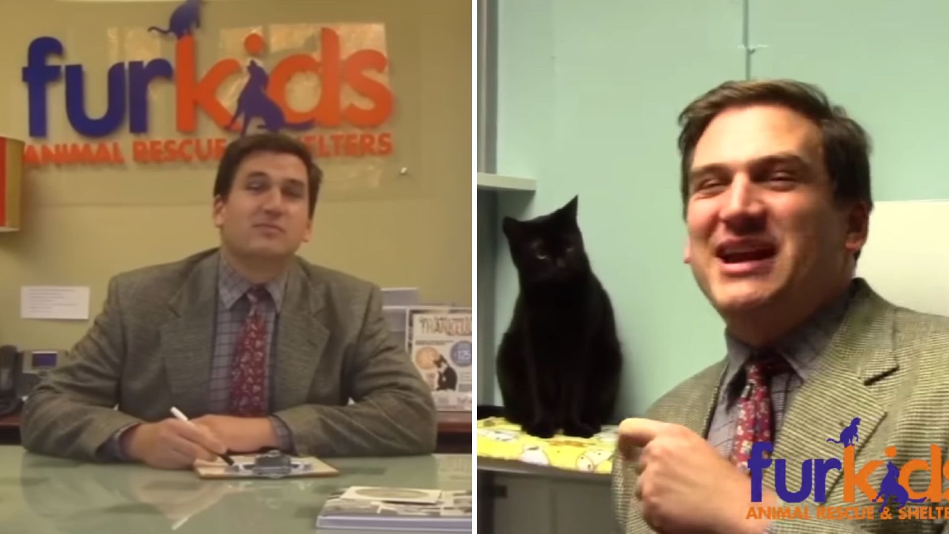 Atlanta Shelter’s Low-Budget Cat