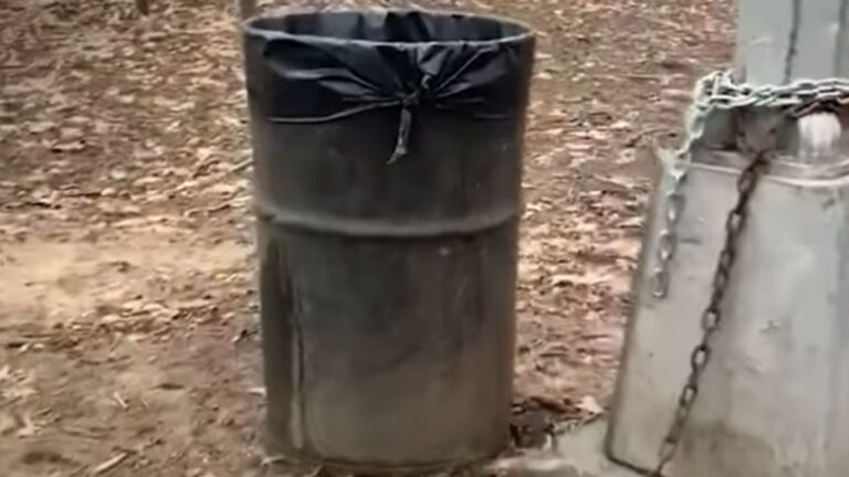 Brooklyn Boys Follow Odd Noises From Trash