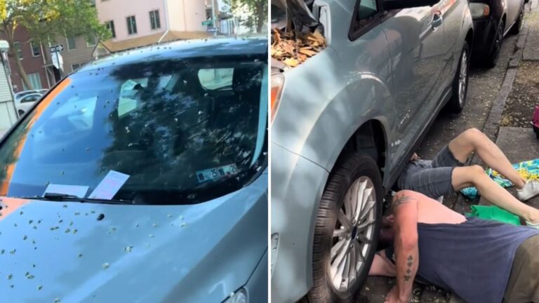 Brooklyn Woman Follows Odd Notes On Her Car