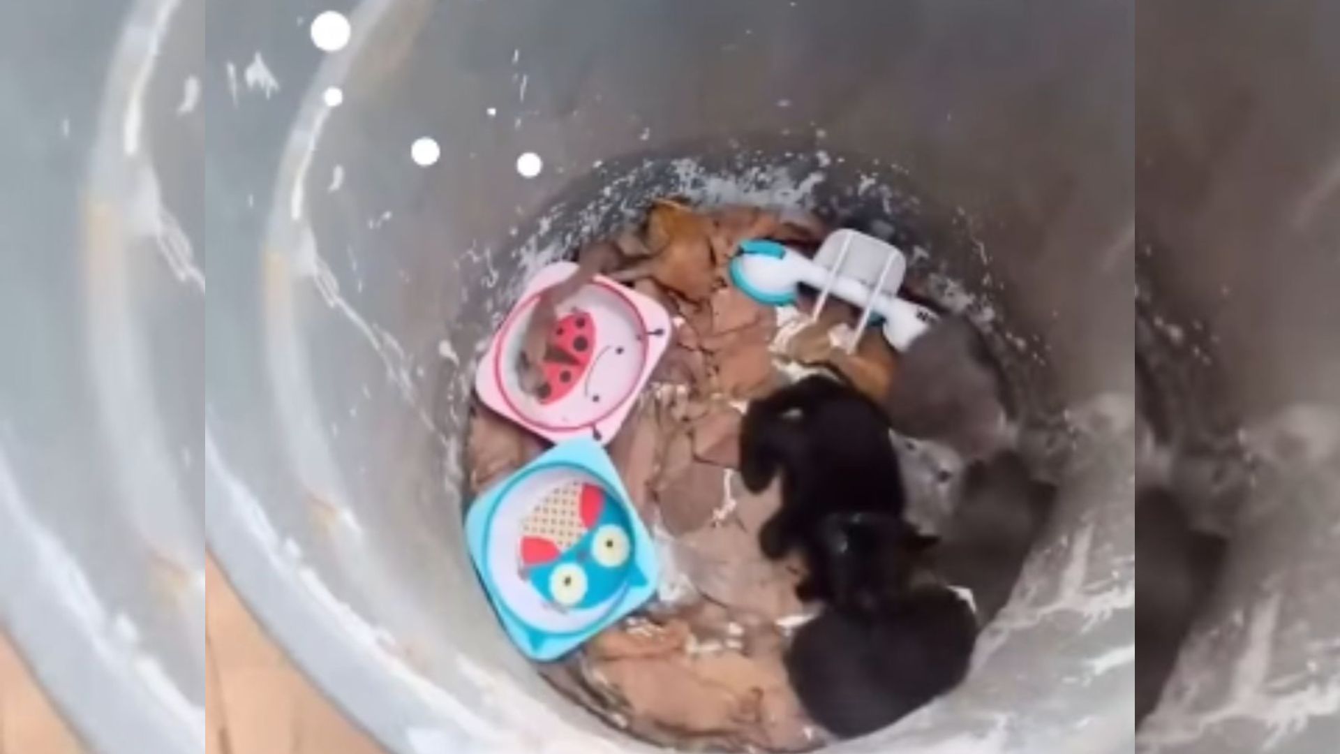 California Man Peeks Into Trash