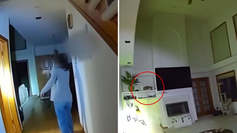 Colorado Woman Awakened At 4 A.M. By Loud