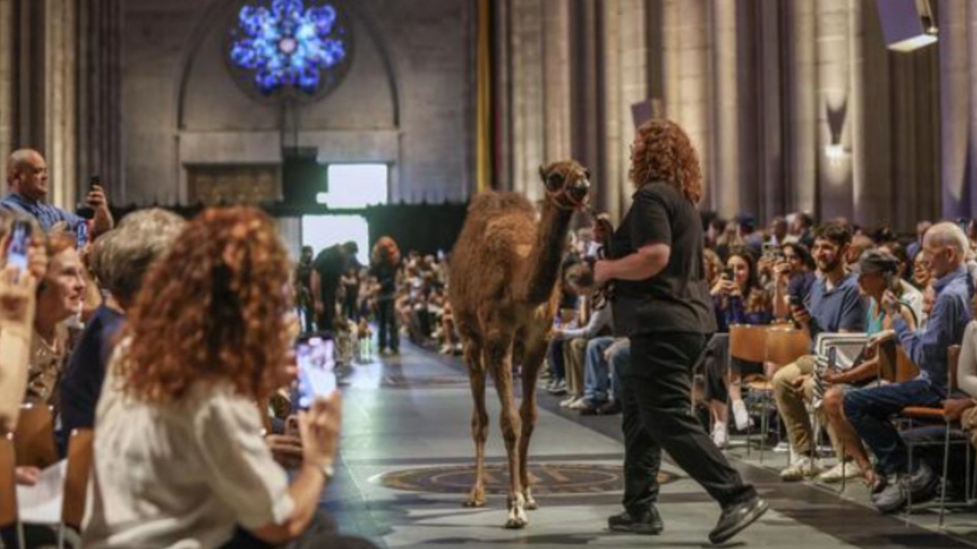 annual blessing of the animals event