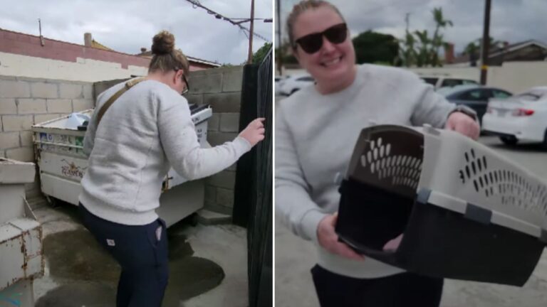 smiling girl who found kittens