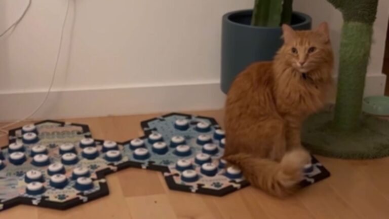 Cat Sends A Chilling Warning Through Speech Buttons