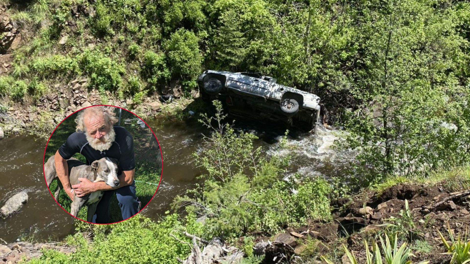 Loyal Dog Runs 4 Miles Through The Night To Save Injured Owner