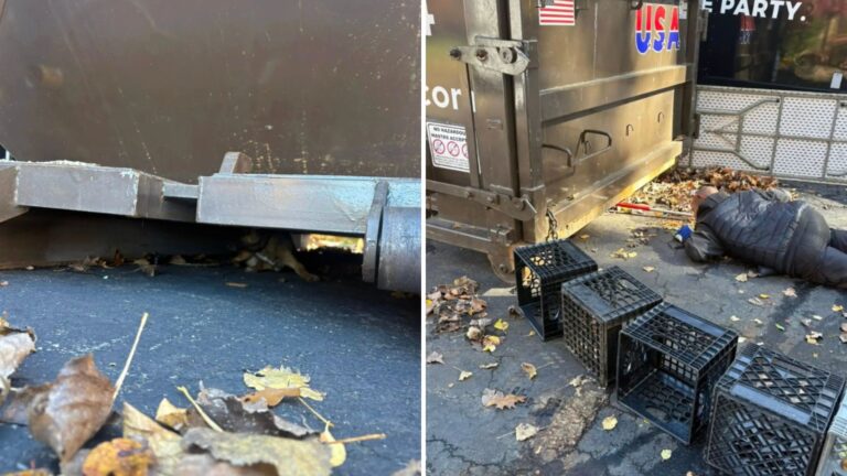 pulling a puppy out from under a dumpster