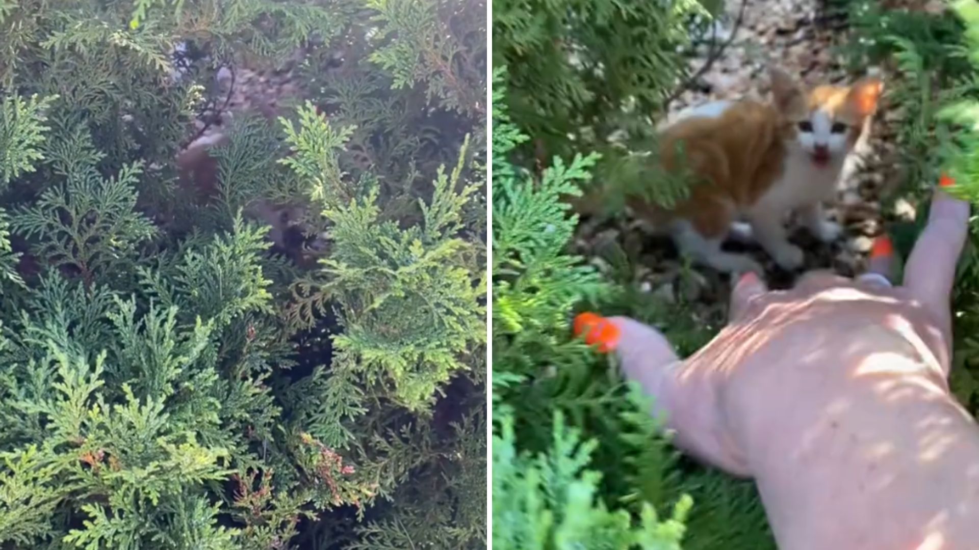 woman hears squeaky sound on campus