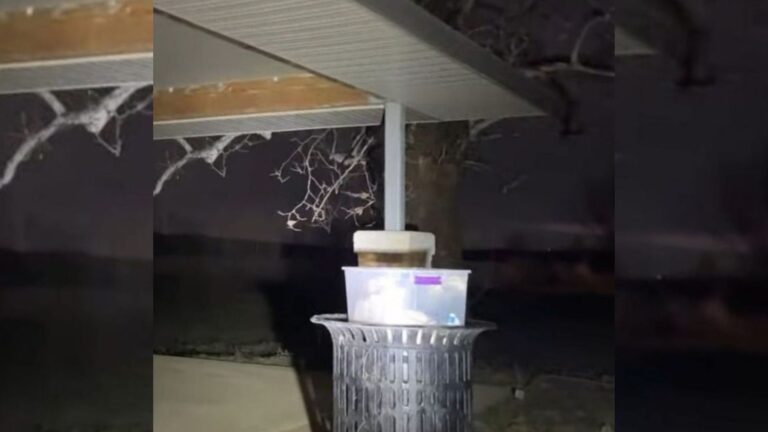 trucker spots odd box on top of trash